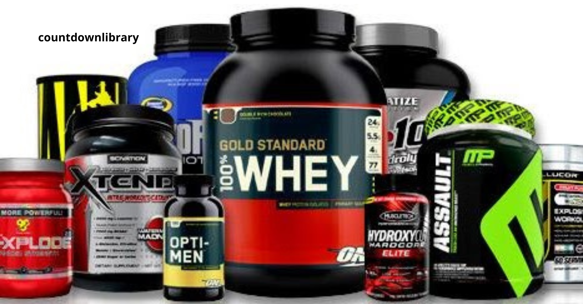 Panduan Dasar Suplemen Gym untuk Pemula