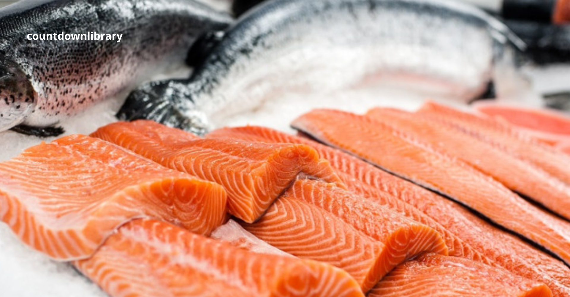 Manfaat Ikan Salmon untuk Atlet Sumber Protein dan Omega-3 Terbaik